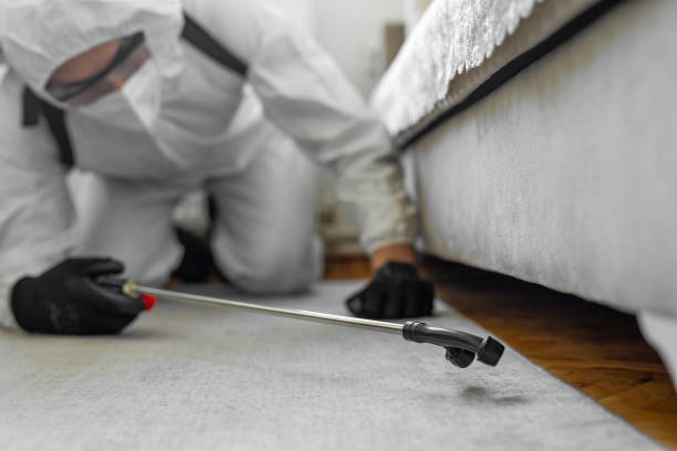 Professional Pest Control technician working in Belleville, IL