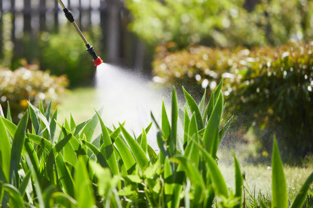 24/7 Emergency Pest Control experts in Belleville, IL