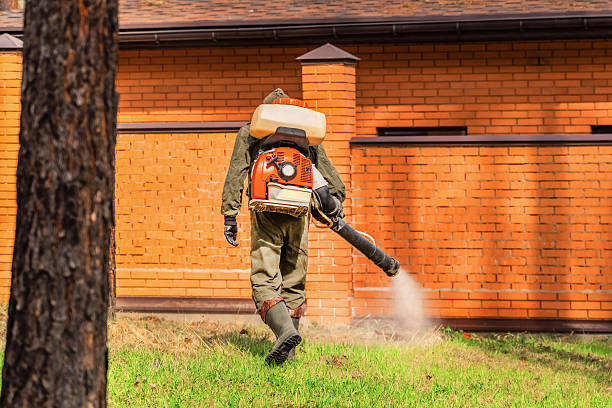 Top rated local Pest Control specialists in Belleville, IL